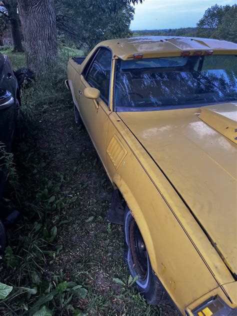 Craigslist Finds of the day (FaceSpace MP too) | Page 9 | GBodyForum
