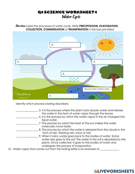 Water Cycle Worksheet Answer Key Water Cycle Worksheet Water Cycle