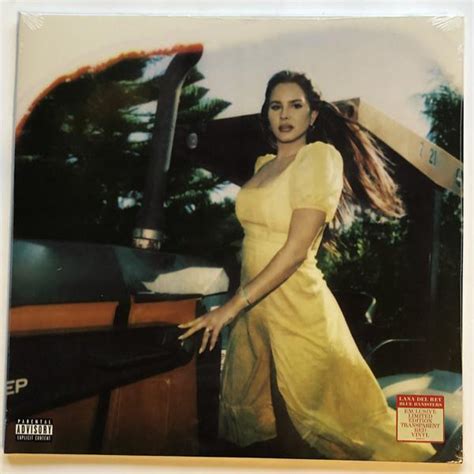 Blue Banisters Lana Del Rey Vinyl K B Vinyl Lp Vinylpladen Dk