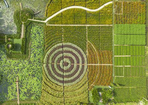 Nhiều điểm check in cực hot ở Tiền Giang đón khách dịp tết Báo Pháp Luật TP Hồ Chí Minh