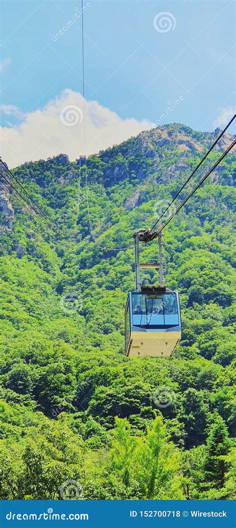 Vertical Shot Of A Cable Car Going Above An Amazing Forest And