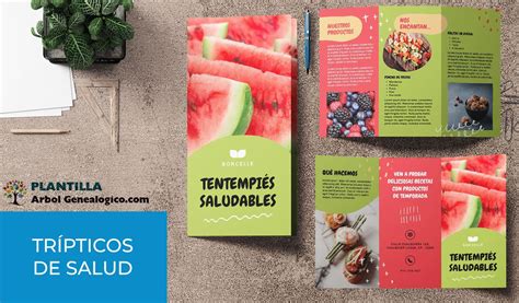 Trípticos De Vida Saludable Alimentación Salud Y Más En Word