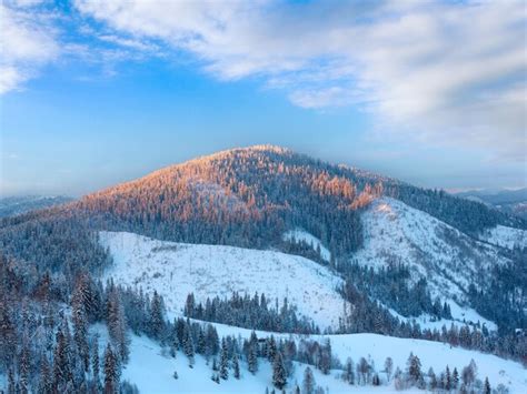 Premium Photo Evening Winter Ukrainian Carpathian Mountains Landscape