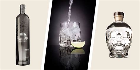 15 Best Vodkas for Any Budget - Great Vodka Brands to Try