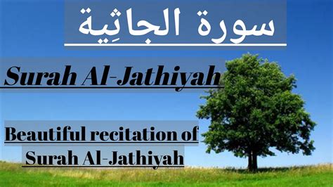 Beautiful recitation of Surah Al Jathiyah سورة الجاثية AL MAKKHA