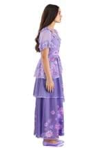 Disney Encanto Isabella Women's Costume | Disney Costumes