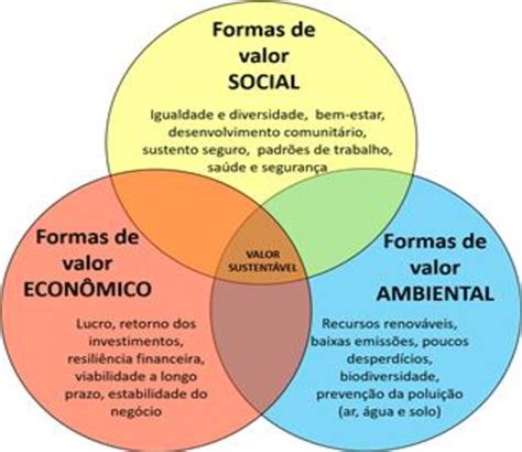 Formas De Valor Relacionadas às Dimensões Da Sustentabilidade