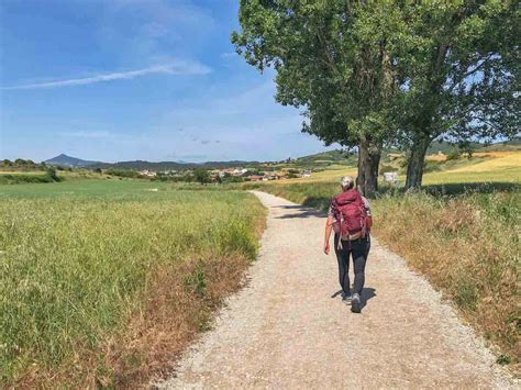 Why You Should Walk The Camino De Santiago Solo