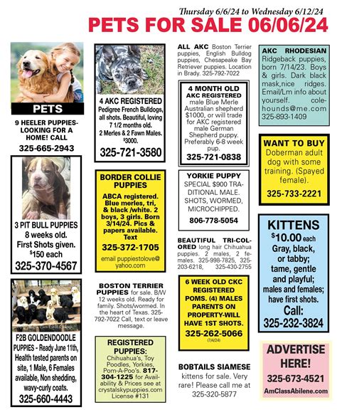 Pets For Sale Near Me - Thrifty Nickel of Abilene - Abilene Pets