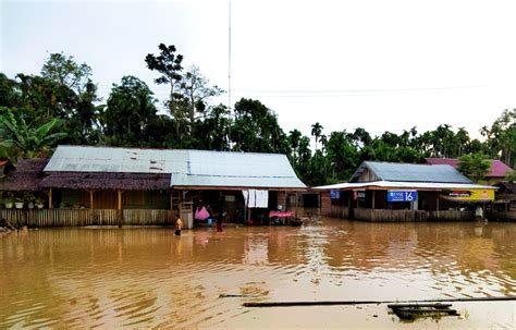 Banjir Di Aceh Utara Meluas Kecamatan Terendam