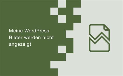 Meine Wordpress Bilder Werden Nicht Angezeigt Hilfe