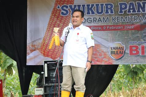 Potensi Jagung Melimpah Bupati Dorong Pola Kemitraan Dan Berharap Ada