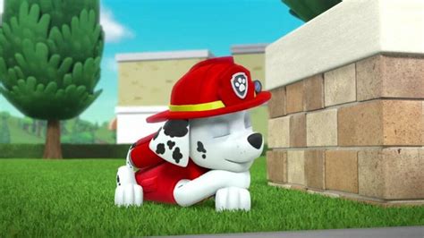 Paw Patrol Marshall Sleeping By Mal1262 On Deviantart