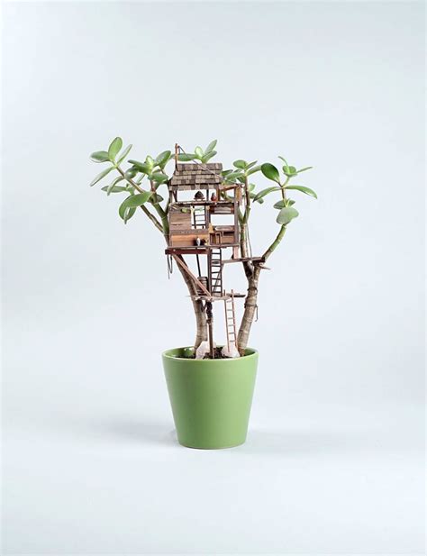 Casa De Árbol En Miniatura Transformará Tus Plantas En Verdaderas Obras