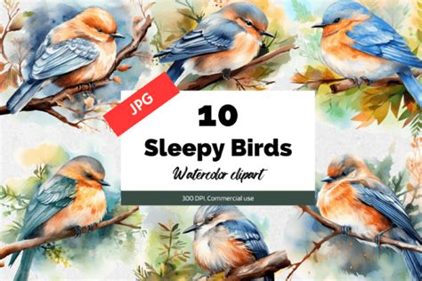 10 Watercolor Sleepy Birds Clipart JPG Graphic by KiwiCakeStudio ...