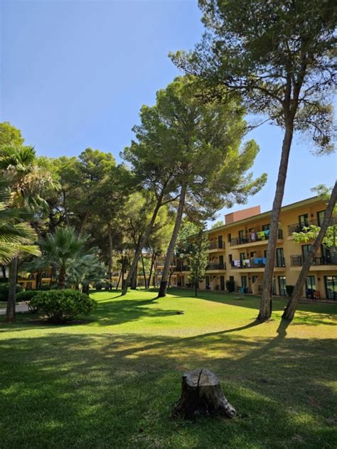 Pool Vell Marí Hotel Resort Can Picafort HolidayCheck Mallorca