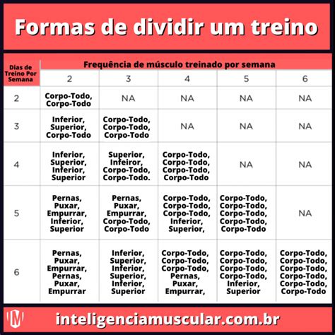 Qual a Melhor Divisão De Treino Para Naturais Inteligência Muscular