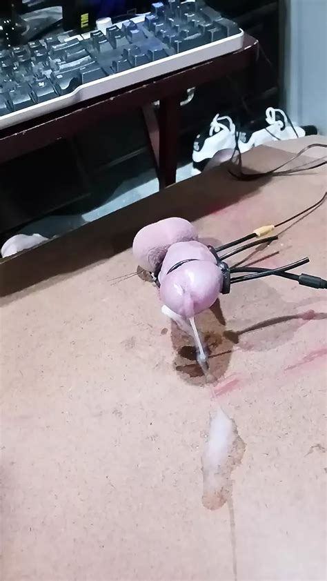 Hands Free Orgasam With Bestim Gay BDSM Porn Feat Cumshot XHamster