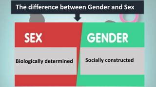 Gender And Sex PDF