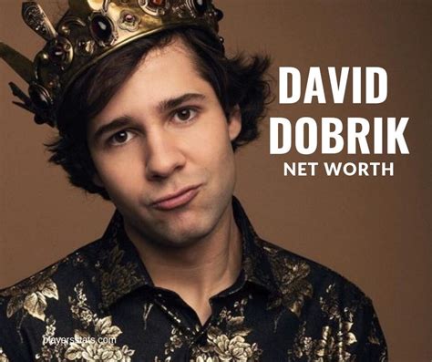 David Dobriks Net Worth In 2024 What Is The Vlog Squad Net Worth