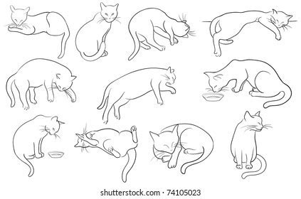 Cat Laying Down Drawing : Laying Down Cat. Illustration Stock ...