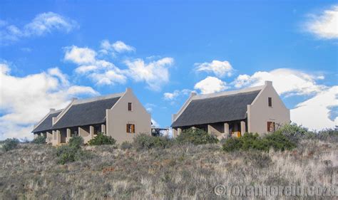 Karoo National Park The Ultimate Guide Roxanne Reid Africa Addict