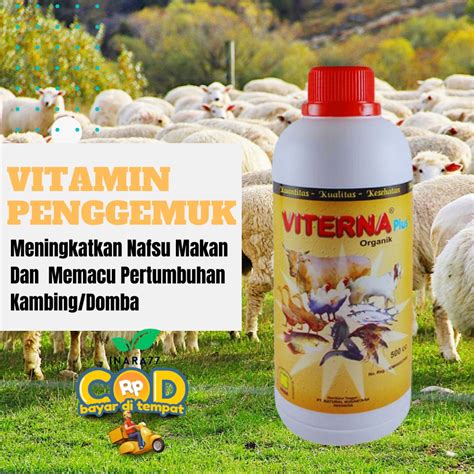 Jual Vitamin Ternak 500 Ml Untuk Kambing Dan Domba Agar Cepat Gemuk