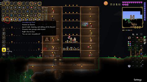 A glitch I found : r/Terraria