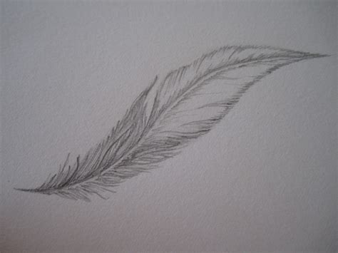 Wanna Draw A Feather How To Draw A Feather Drawing Drawing On Cut