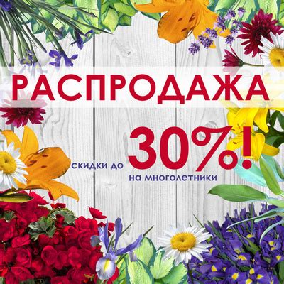 Питомник растений Эко Сад в Краснодаре