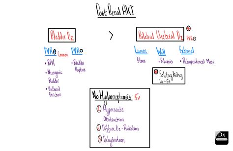 Post Renal AKI – The Clinical Problem Solvers