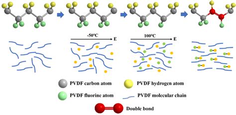 Schematic Illustration Of The Formation Of The Double Bond In The Pvdf