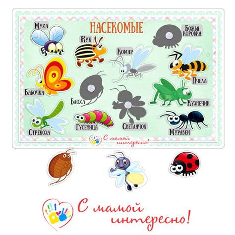 С мамой интересно! / Игра на липучках "Насекомые" | Развивающие игры ...