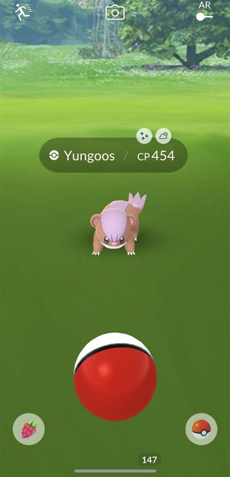 Shiny Yungoos live! : r/TheSilphRoad