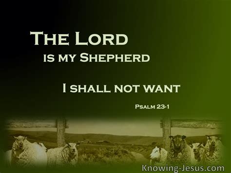 Psalm A Psalm Of David The Lord Is My Shepherd I Shall Not Want