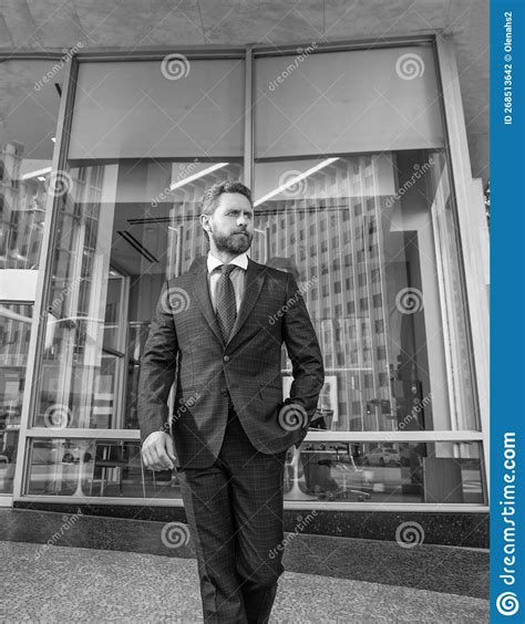 Business Success. Successful Man in Businesslike Suit Stock Photo ...