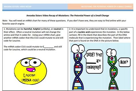 Amoeba Sisters Speciation Answer Key Amoeba Sisters Video Re