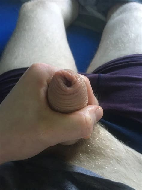 Oiled Hairy Cock And Balls Nude Pics XHamster