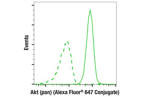 Akt Pan E Rabbit Mab Alexa Fluor Conjugate Cell