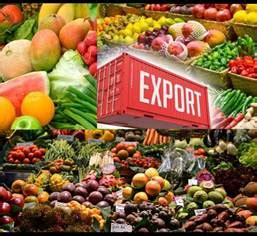 AGRI EXPORTS IAS GYAN