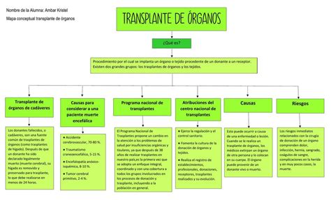 Transplante De Rganos Ambar Carvajal Udocz