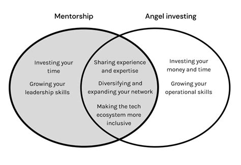 mentor   money  angel investing