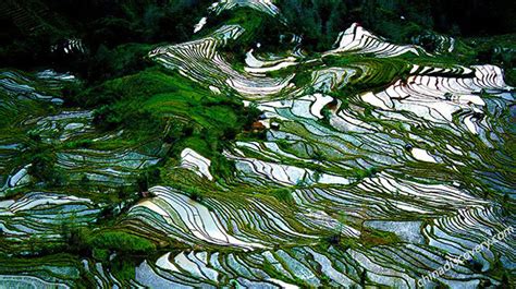 Top 6 Most Beautiful Rice Terraces in China 2025