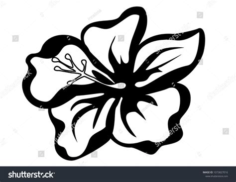 Hibiscus Flower Silhouette Vector Illustration Beautiful Vector De