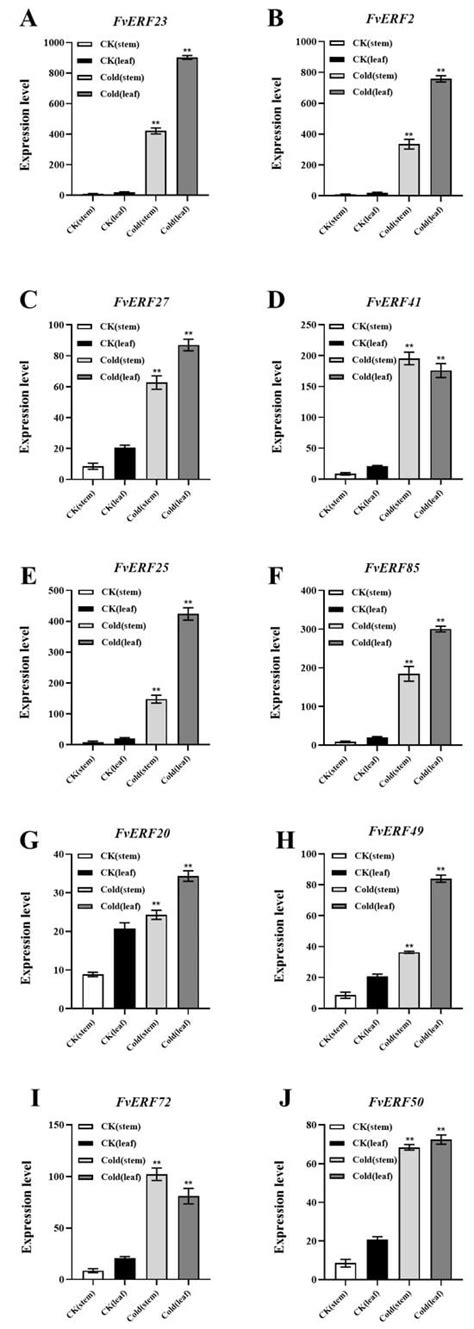 Ijms Free Full Text Genome Wide Characterization And Expression