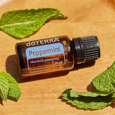 Aceite Doterra Menta Doterra Ogafly Cl Aceites Esenciales