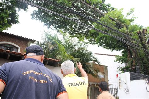 Prefeitura de Poá realiza Dia D de poda preventiva de arvores