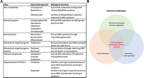 Frontiers Cytotoxic Chemotherapy As An Immune Stimulus A Molecular