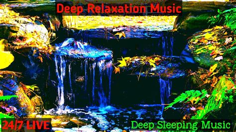 Deep Relaxation Music Hours Live Stream Meditation Music Calm