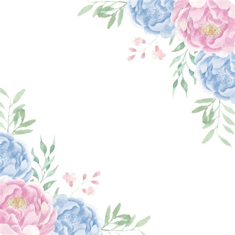 Peônia Rosa E Azul Com Borda Em Aquarela De Flores Silvestres Png